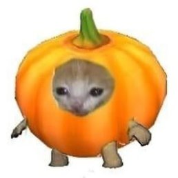 Valeria, ������������, 19 ���