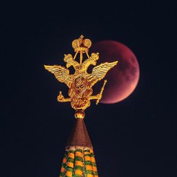 ������, �����-���������, 53 ����