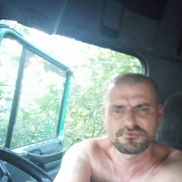 ���� ����, �����, 40 ��� - ��������� 8 ������ 2024