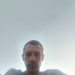  , 37, 