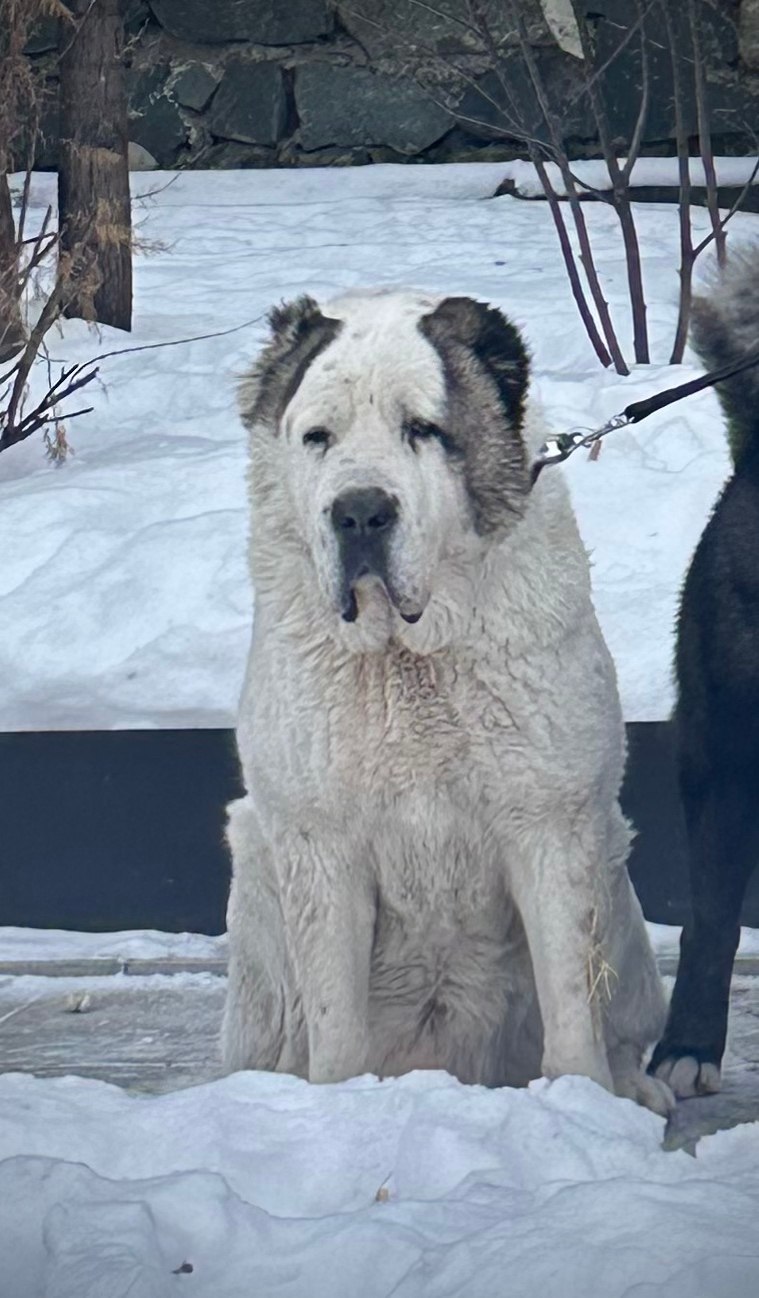 26 ������� 2017 ���� � ��� �� ���� ����� ������. ������ ���� ���� � ������ � �����. � ��� ��� ... - 4