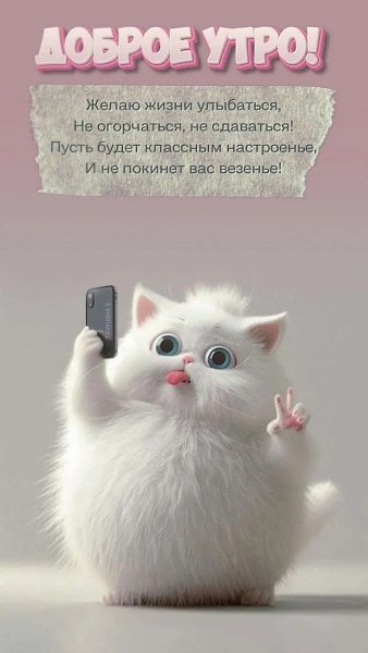 ***Victoria Viktorovna*** - 11  2024  04:41