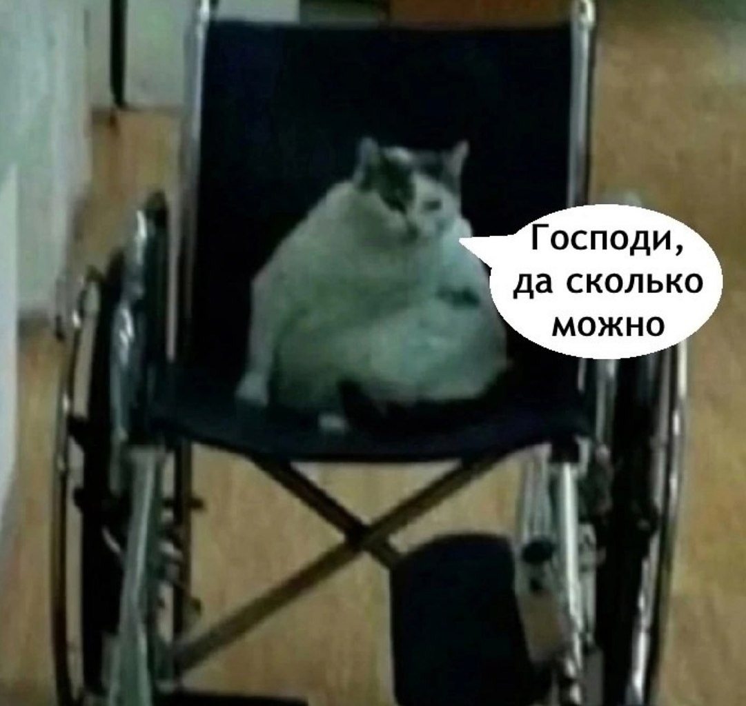      - 3