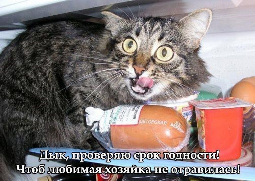    - 12  2024  21:23