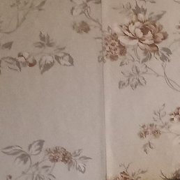 ����, ������, 40 ���