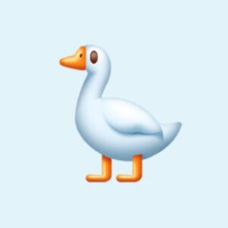 ��������, ����, 57 ���