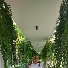 ���� �������, �������, 72 ���� - ��������� 8 ������� 2023