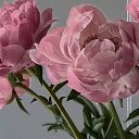 ���� Margo, ������, 19 ��� - ��������� 31 ������� 2025 � ������ ���� ����������