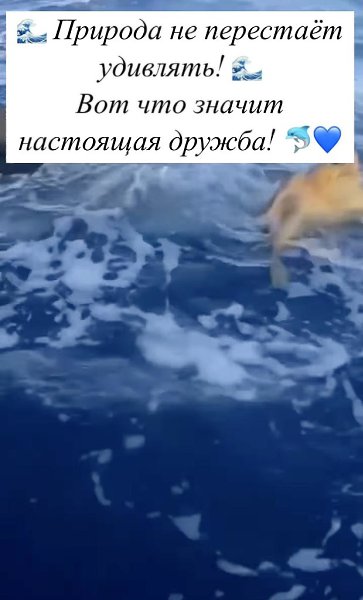 Природа не перестаёт удивлять! https://vk.com/@-32131490-priroda-ne-perestayot-udivlyat-127754