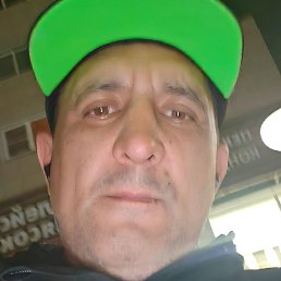 �������, ������, 46 ���