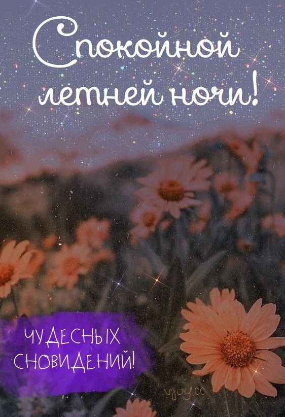   ,    . - 29  2025  21:22