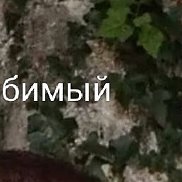 ������, 23 ����, ��������