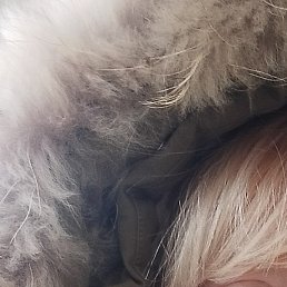 Deleted, ����������, 65 ���