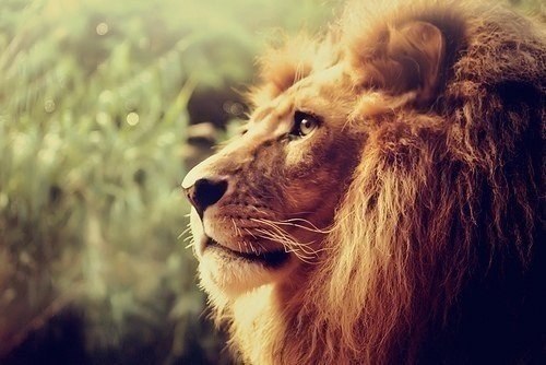 ���� �� ����������, � ���� ���� ��� ��������: ��������� ��� �� ���������. � ���� �� �� ����������, ...