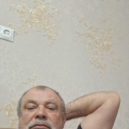 , 44, 