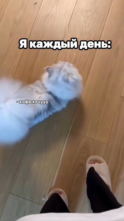   ? - 2