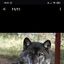  , , 37  -  28  2024