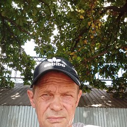 ���� ��������� �������, ���������, 49 ��� - ��������� 27 ������� 2024