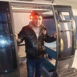 , 37, -