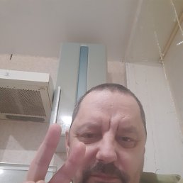 ������, �����, 51 ���