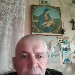 , 61, 