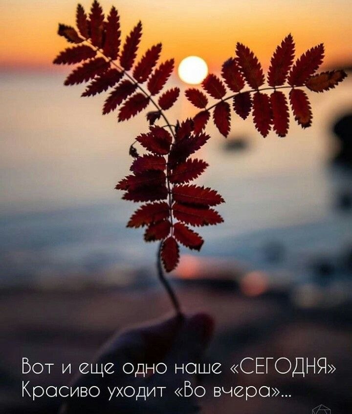   - 26  2025  19:57