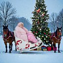 ���� ������, �����������, 67 ��� - ��������� 9 ����� 2026 � ������ ���� ����������