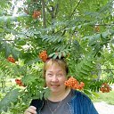 ���� ��������, �������, 52 ���� - ��������� 5 ������� 2026 � ������ ���� ����������