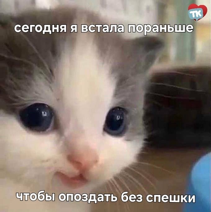  , .   ,      ...