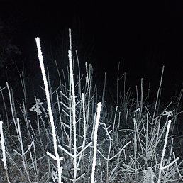 ���� ��������, ���������, 41 ��� - ��������� 29 ������� 2025