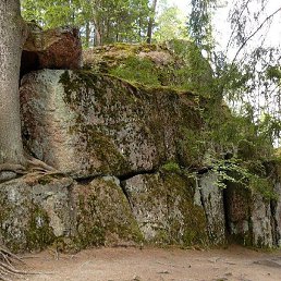 Ali, ������, 25 ���