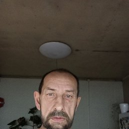 , 53, 