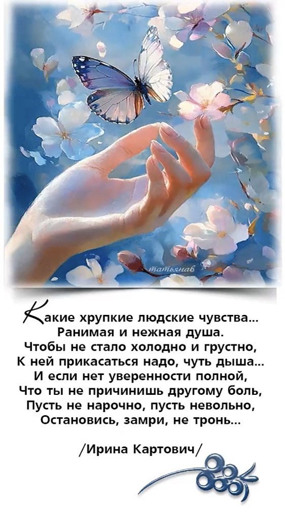   - 29  2025  15:00