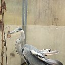 ����� � ������� ����� �� ������� ���� ����������