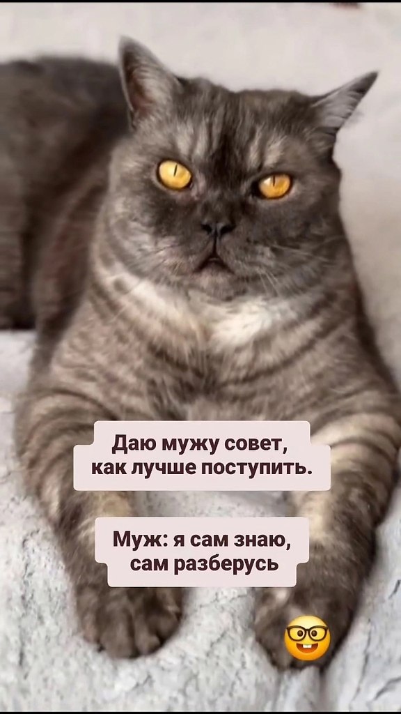      )