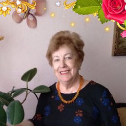 ����, ��������, 79 ���