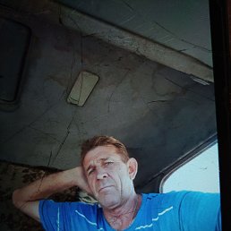 , 62, 
