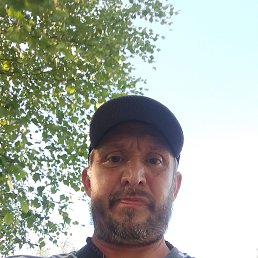 , 51 , 