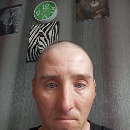 , 38 , 