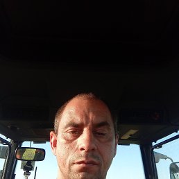 , 37, 