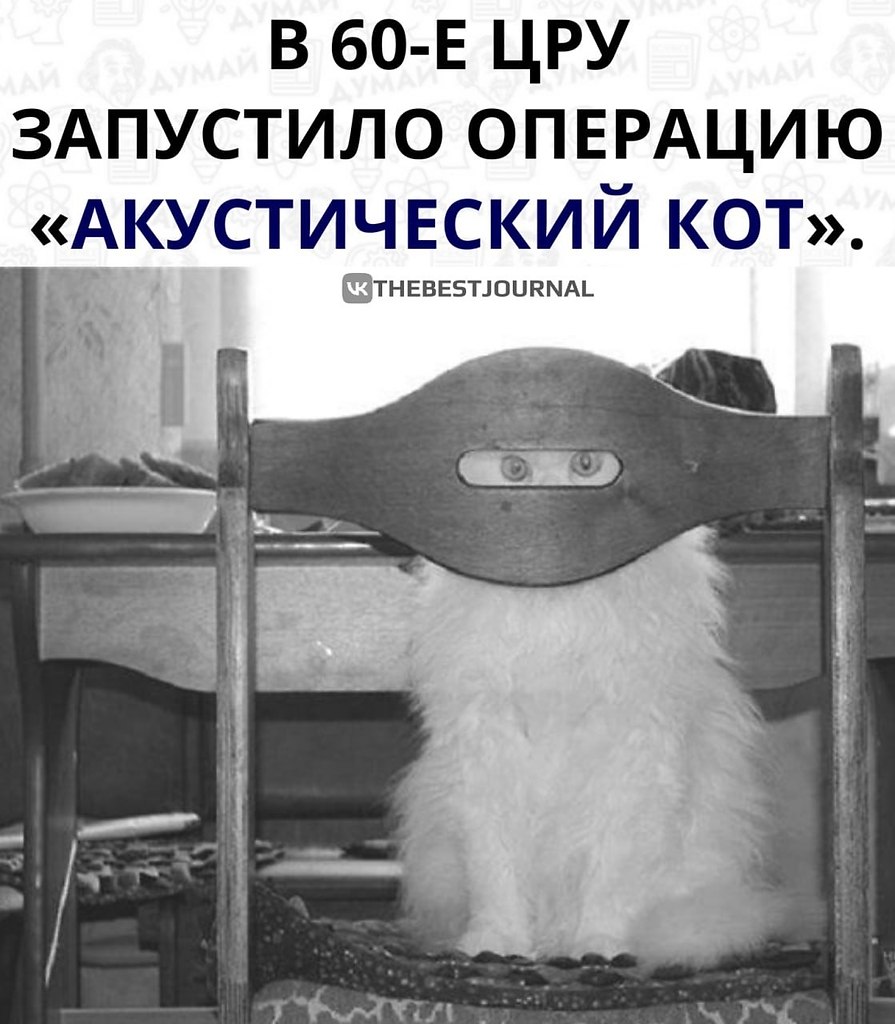 -:    !  60-      . ...