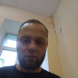 , 40 , 