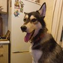 ���� ����, ������-��-����, 37 ��� - ��������� 16 ������� 2025