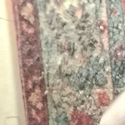 ������� ���������, �����-���������, 43 ����