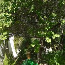 ���� �������, ������, 60 ��� - ��������� 23 ������� 2025 � ������ ������-������������� ��������� � ���������