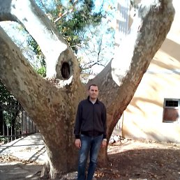 �������, ����, 46 ���