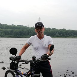 , 62, 