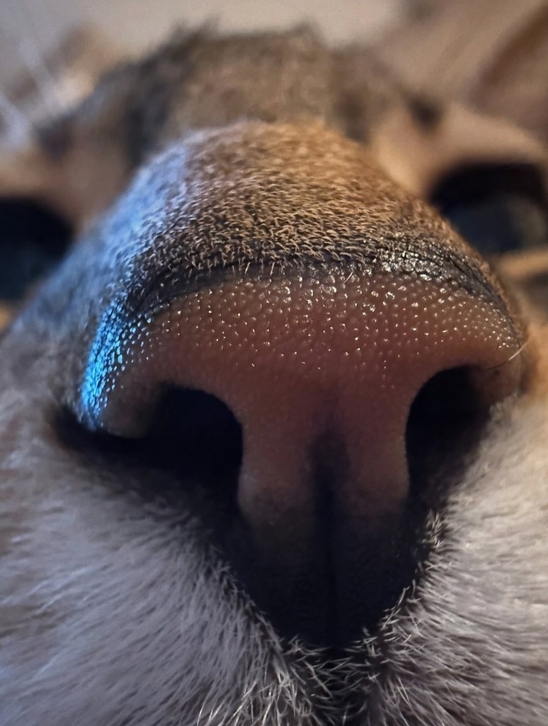            - 3