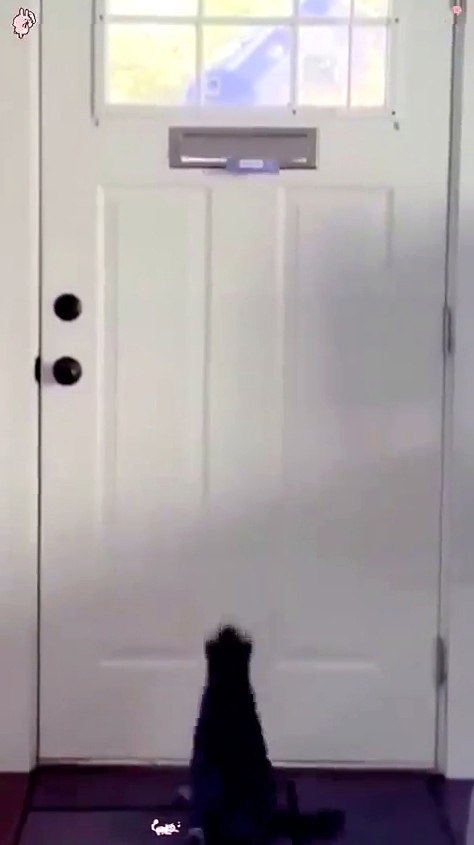 cop o oa  ocaa