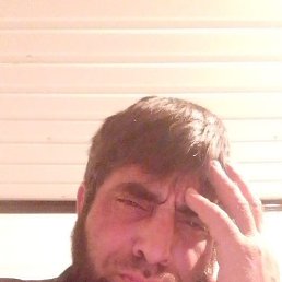 ������, �������, 44 ����